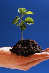 growing_green
